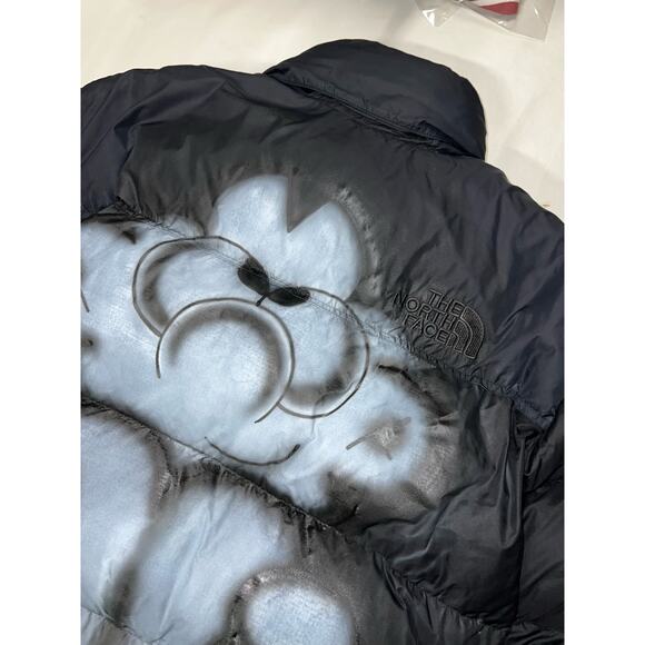 The North Face Atticus Torre Settings Airbrushed 1996 Retro Nupste Jacket - Picture 3 of 9